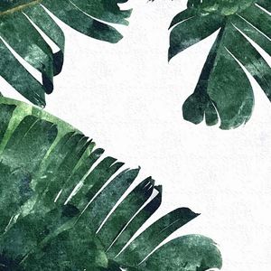 Meet your Posher, Sofia